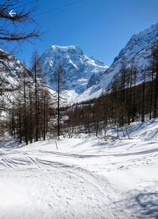 Le Panorama - Appartement 54 A Arolla Face Aux Montagnes A 150M Des Pistes Evolène Exterior foto